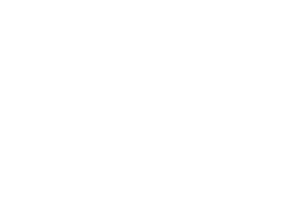 verifone